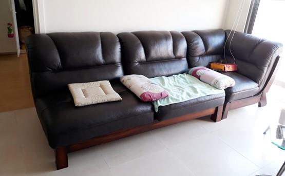 apartment for rent in district 2 D2142233 (1)